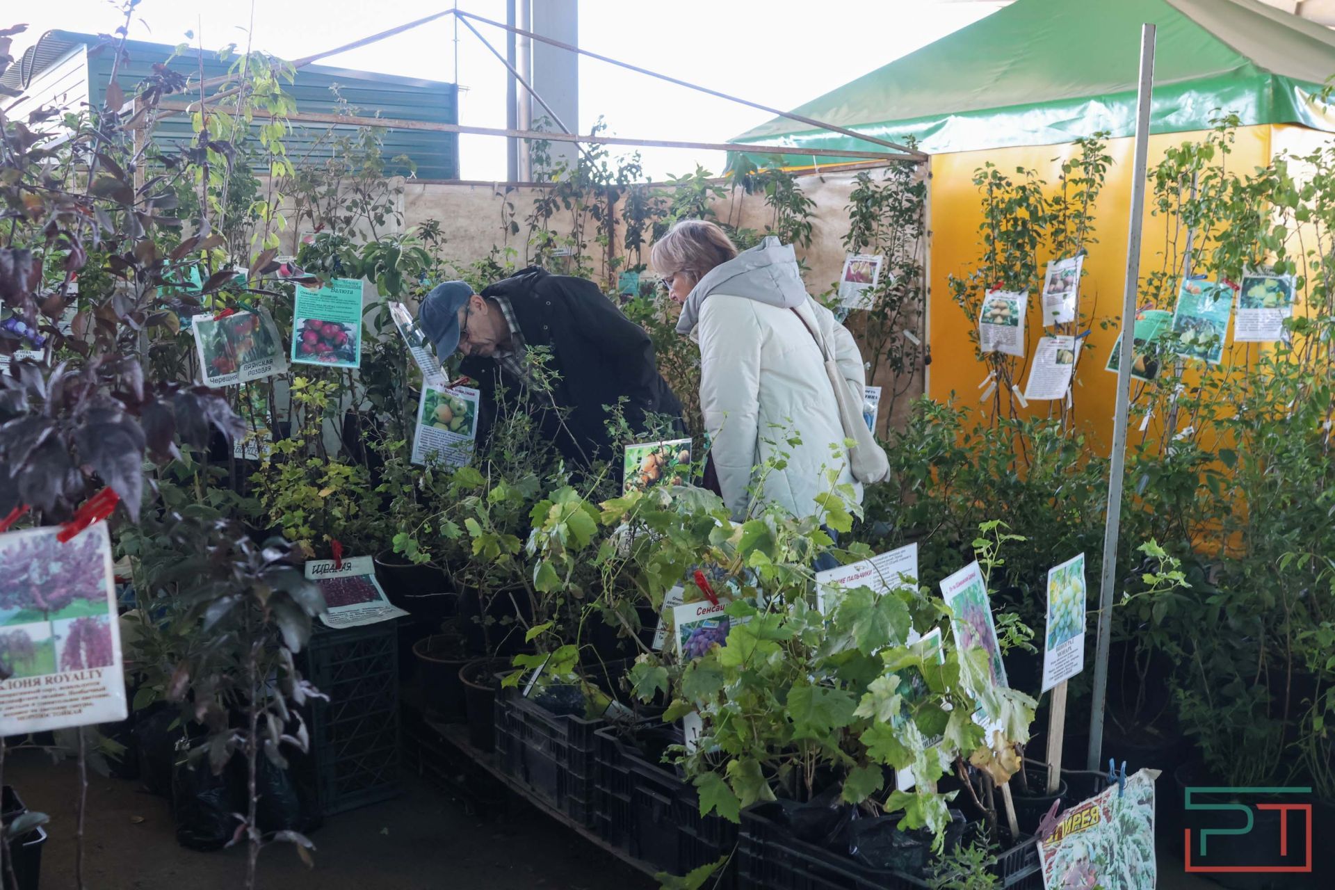 В агропромпарке «Казань» стартовала субботняя ярмарка