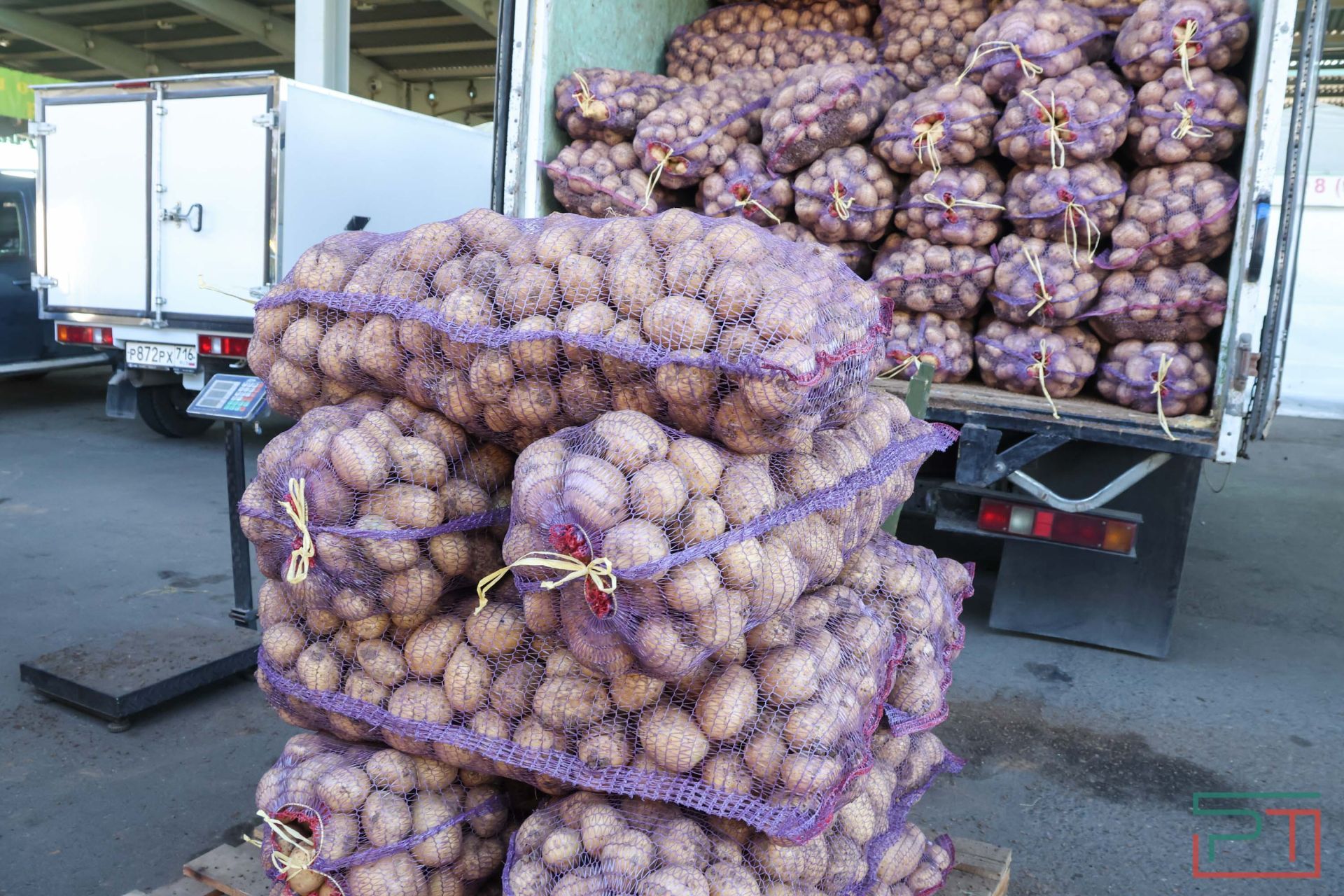 В агропромпарке «Казань» стартовала субботняя ярмарка