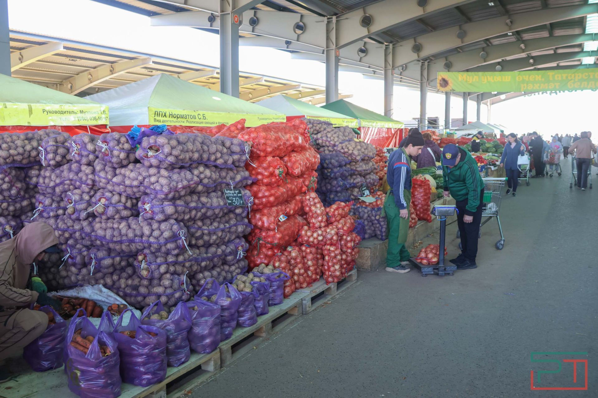 В агропромпарке «Казань» стартовала субботняя ярмарка