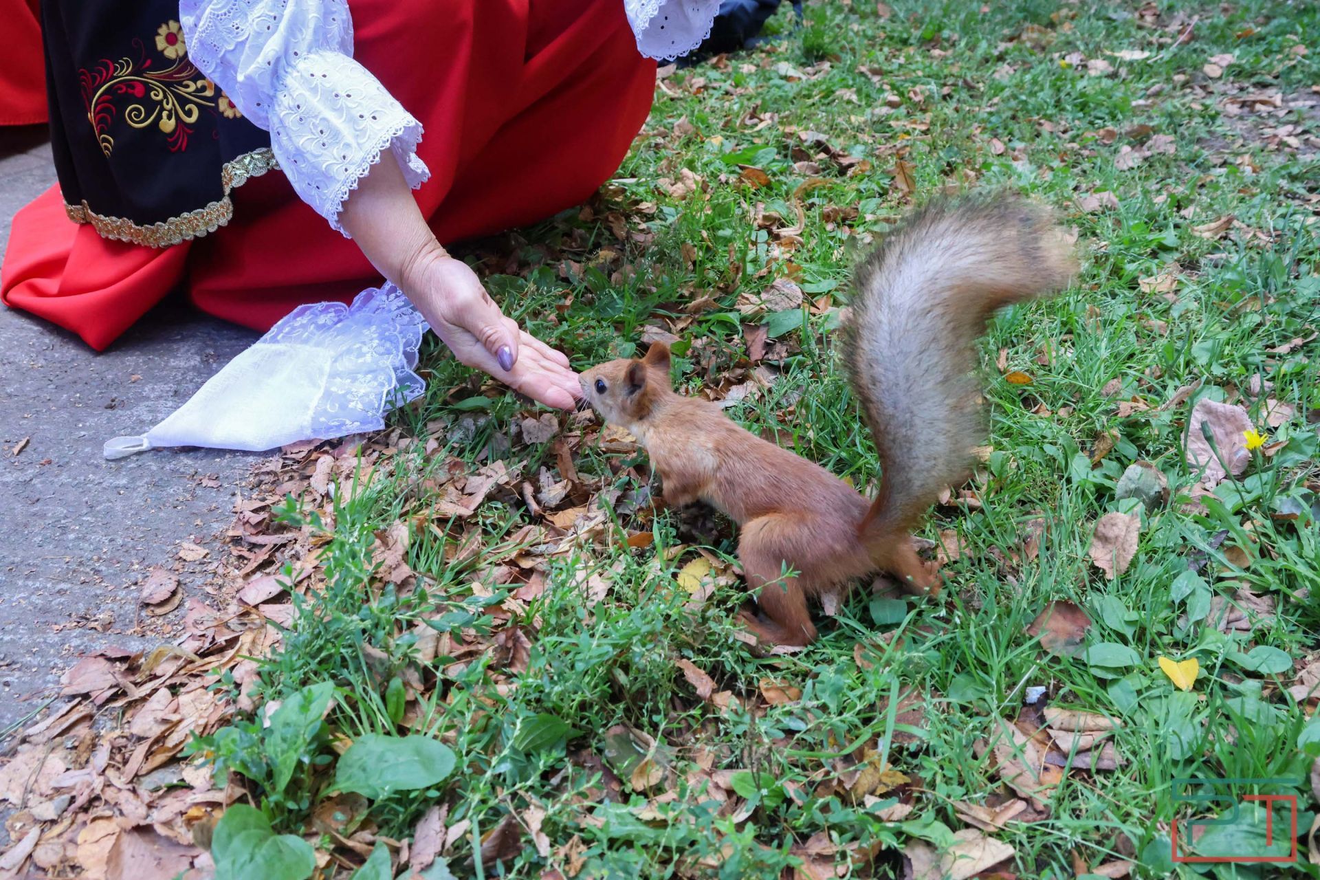 Как в Швейцарии, только лучше: у казанского парка Горького появится фирменный стиль