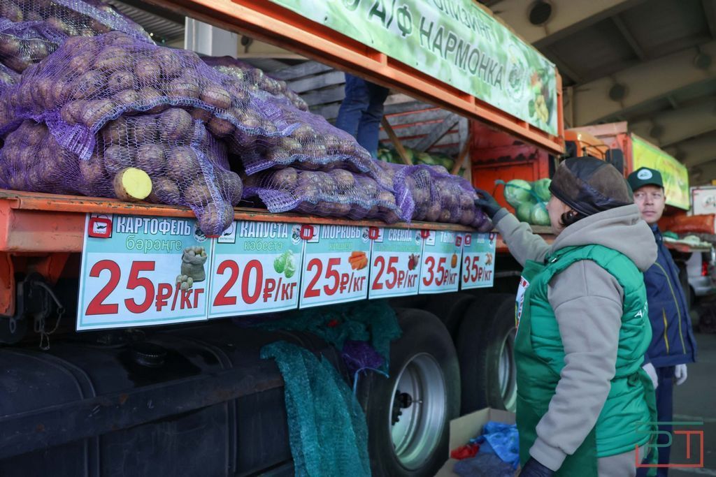 За неделю в Татарстане подешевели картофель и свекла, но подорожали огурцы