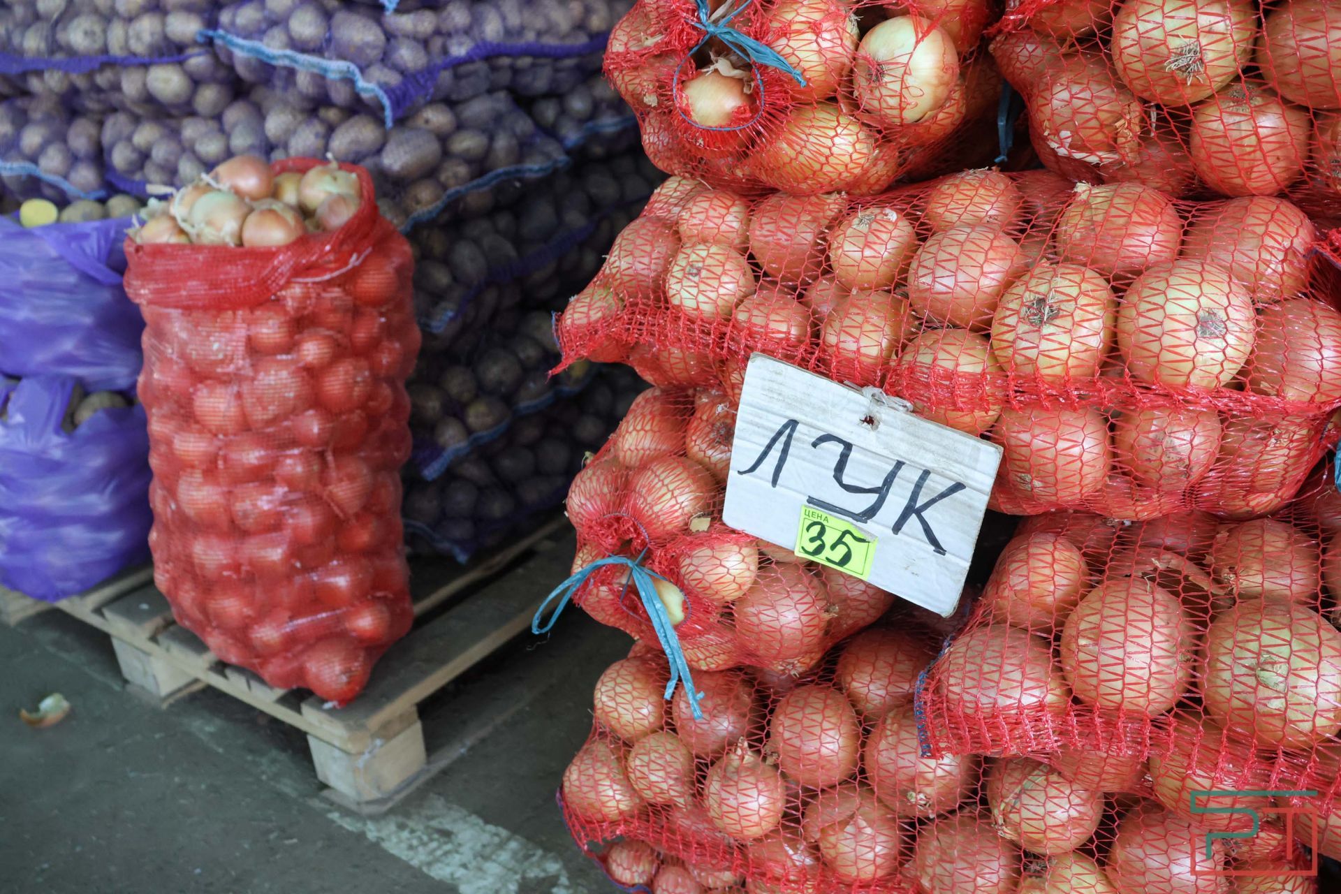 В агропромпарке «Казань» стартовала субботняя ярмарка