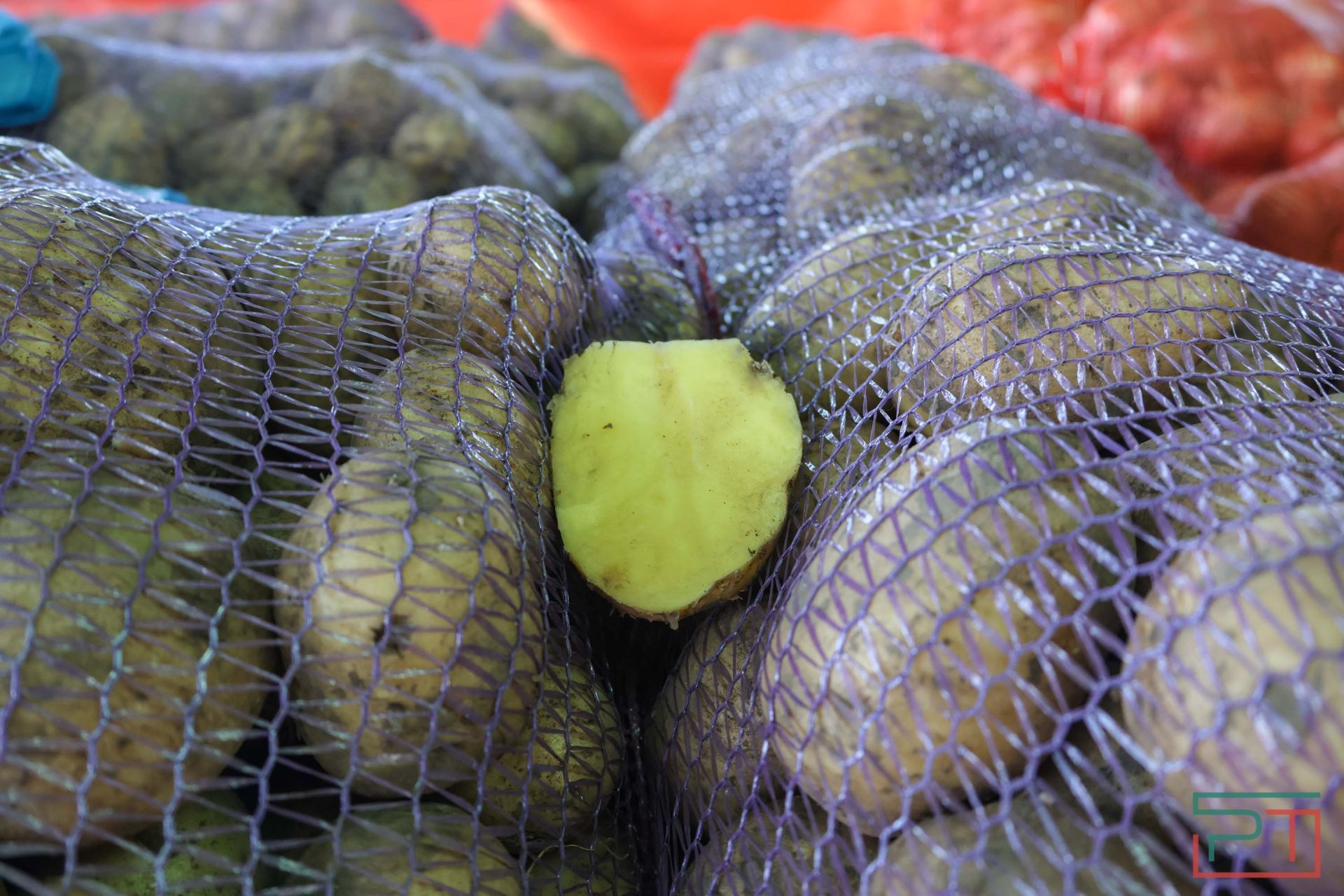 В агропромпарке «Казань» стартовала субботняя ярмарка