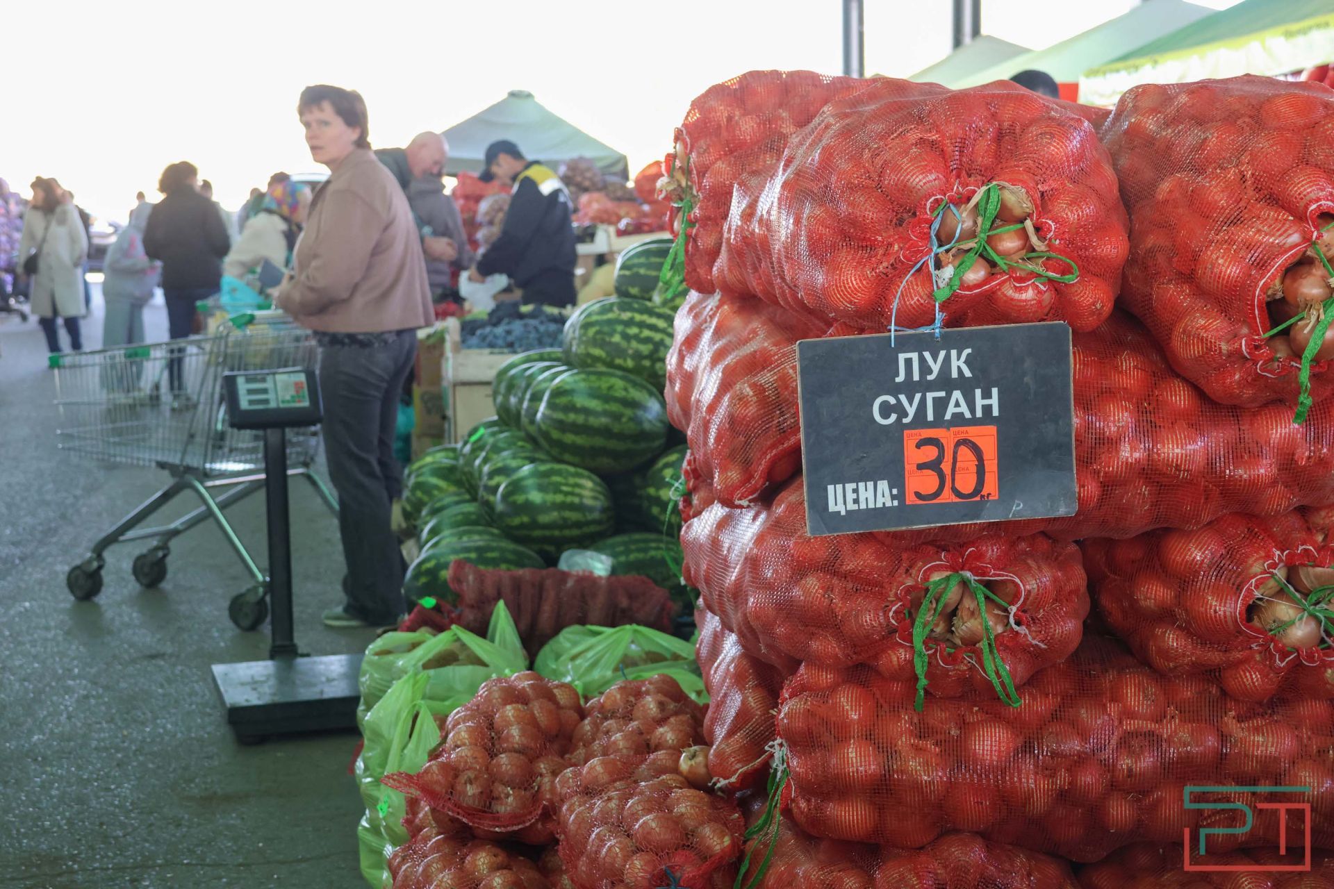 В агропромпарке «Казань» стартовала субботняя ярмарка