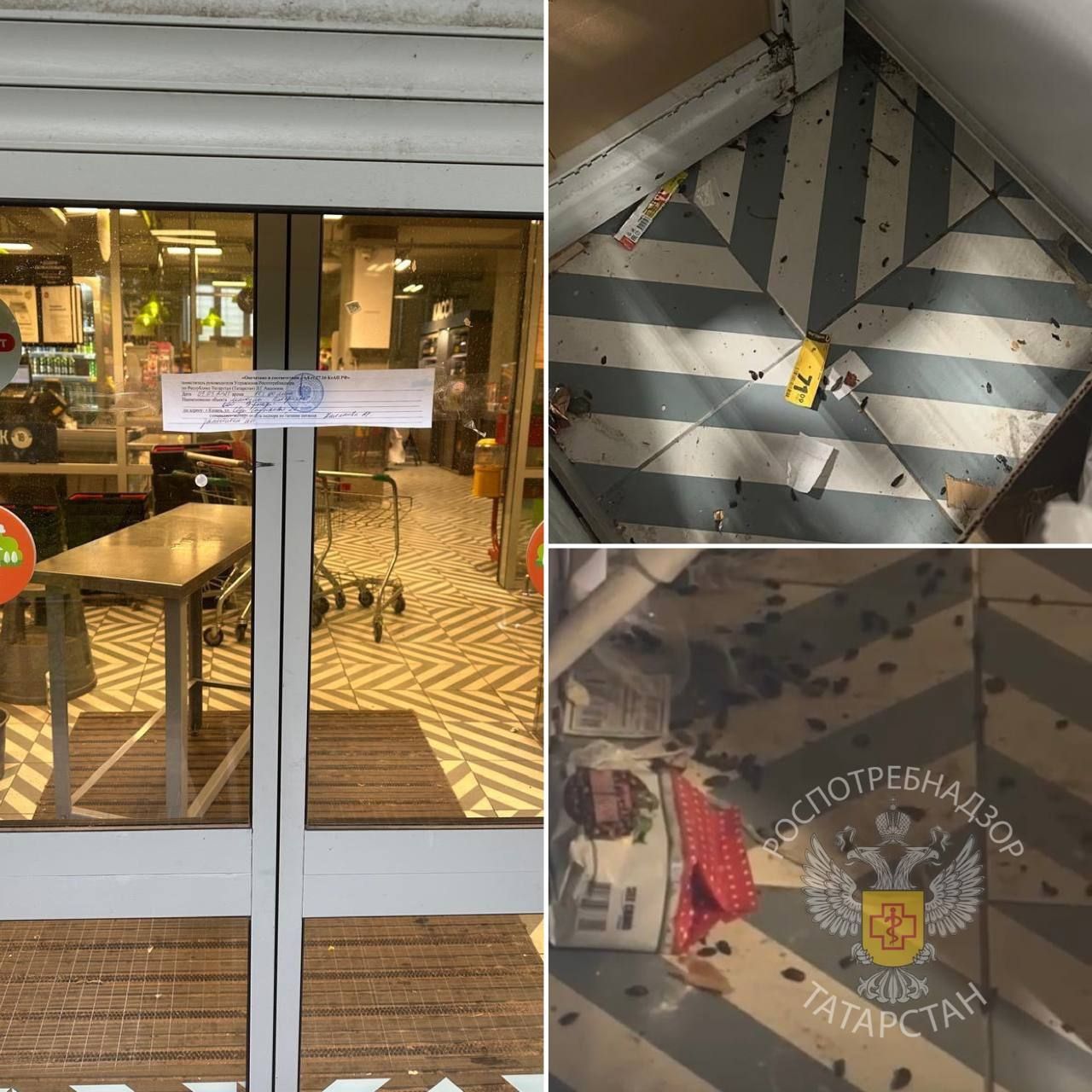 Суд закрыл супермаркет «Пятерочка» в Казани - там нашли экскременты крыс