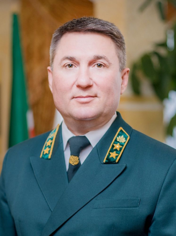 Минлесхоз РТ: Татарстан входит в лидеры по эффективности ведения лесного хозяйства