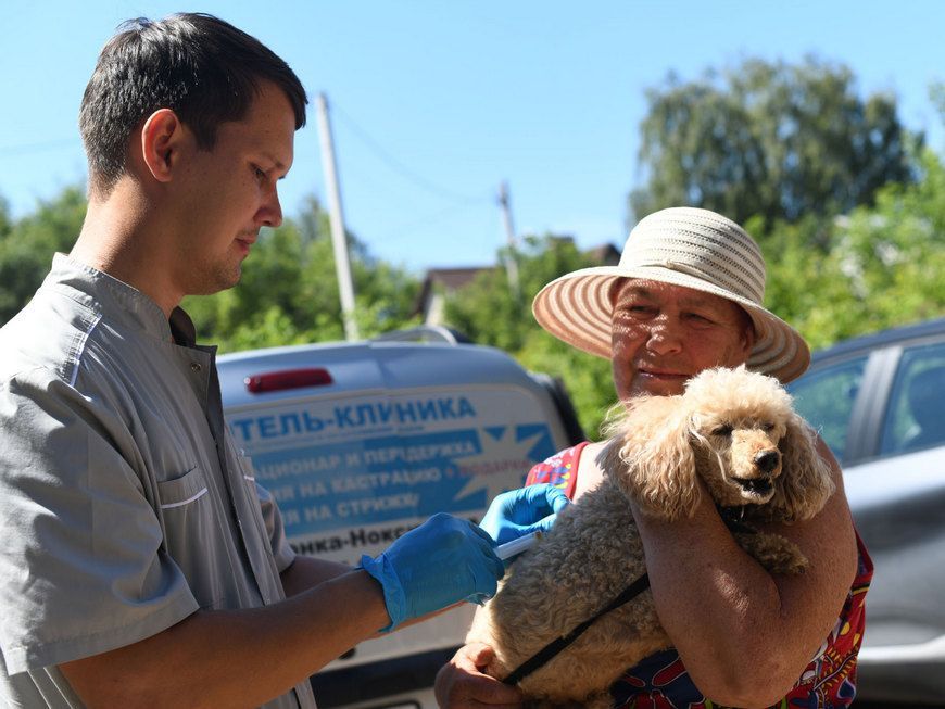 В трех поселках Казани пройдет бесплатная вакцинация животных от бешенства