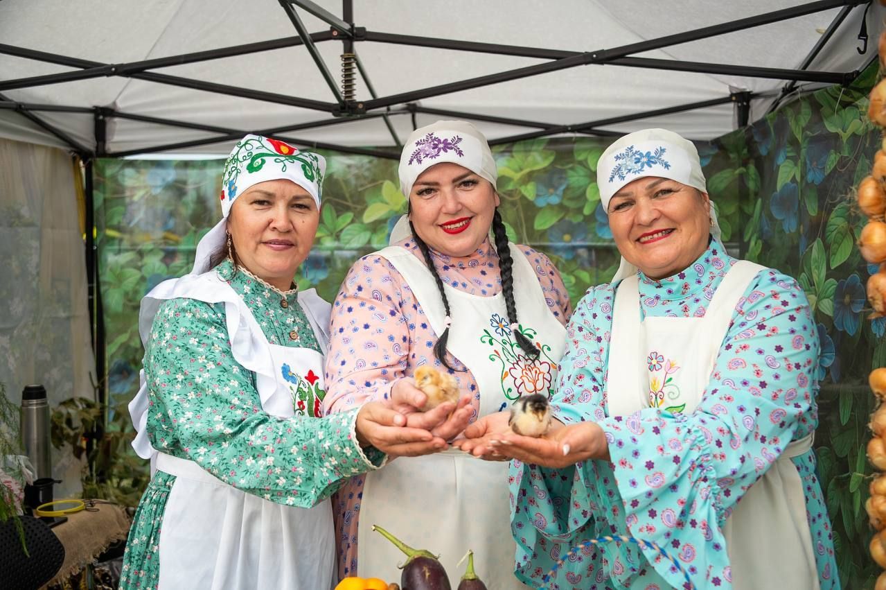 Более 30 тыс. гостей собрал День города в Нижнекамске