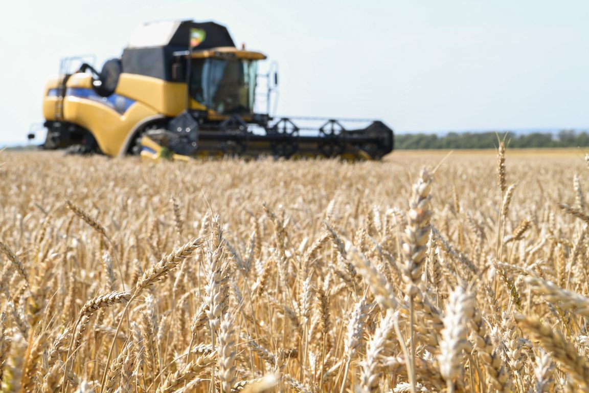 «Землю защитят, но свободы лишат»: эксперты из Татарстана – об изменениях в Земельном кодексе