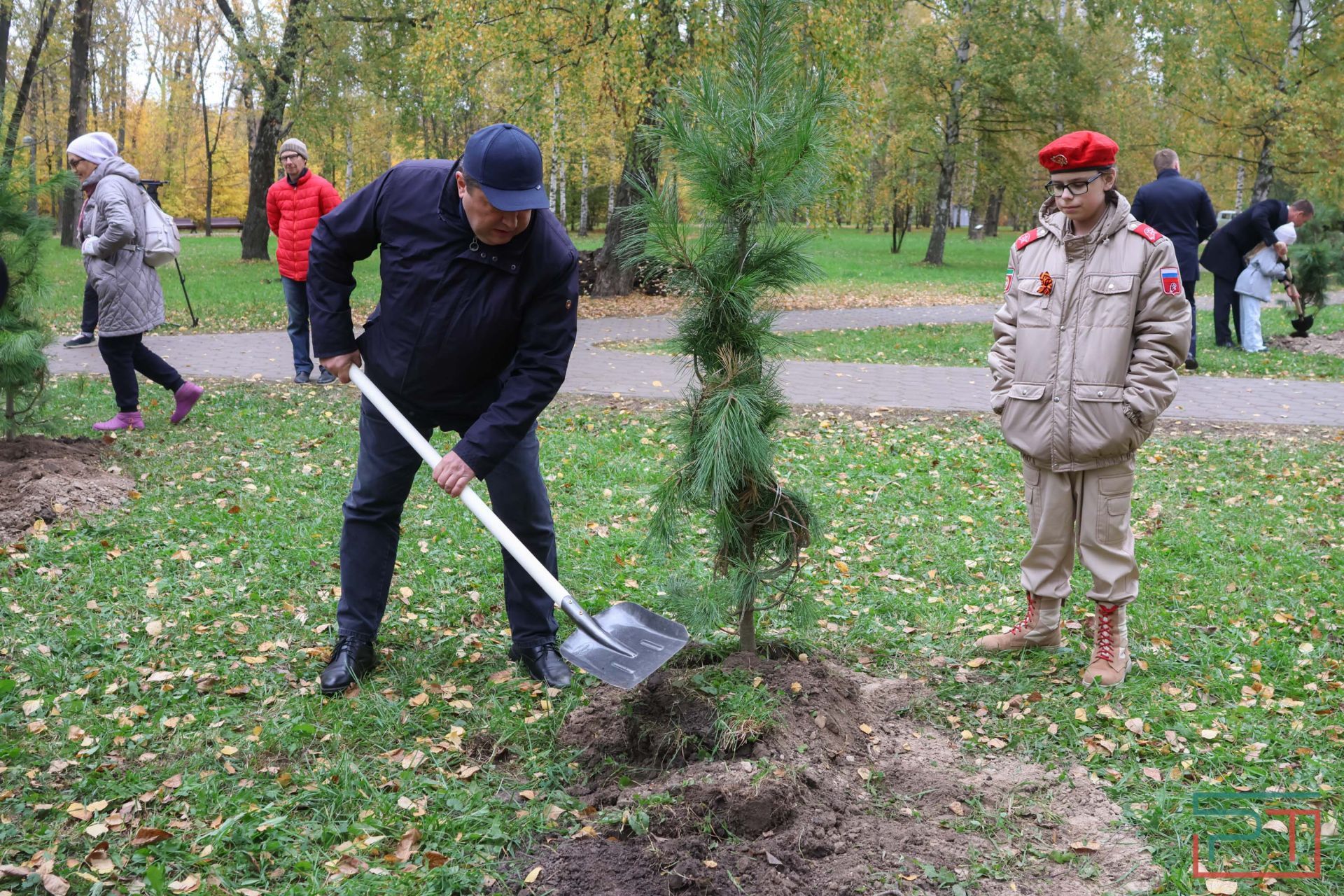 В казанском парке высадили аллею сибирских кедров