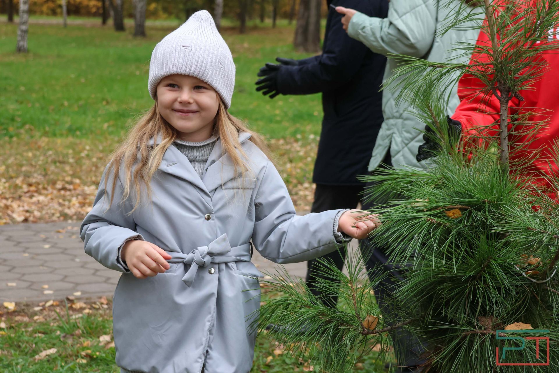 В казанском парке высадили аллею сибирских кедров