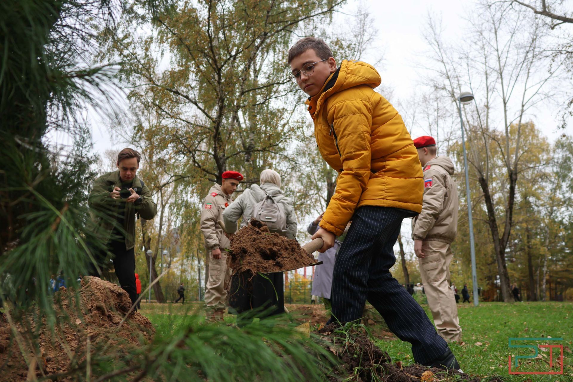 В казанском парке высадили аллею сибирских кедров