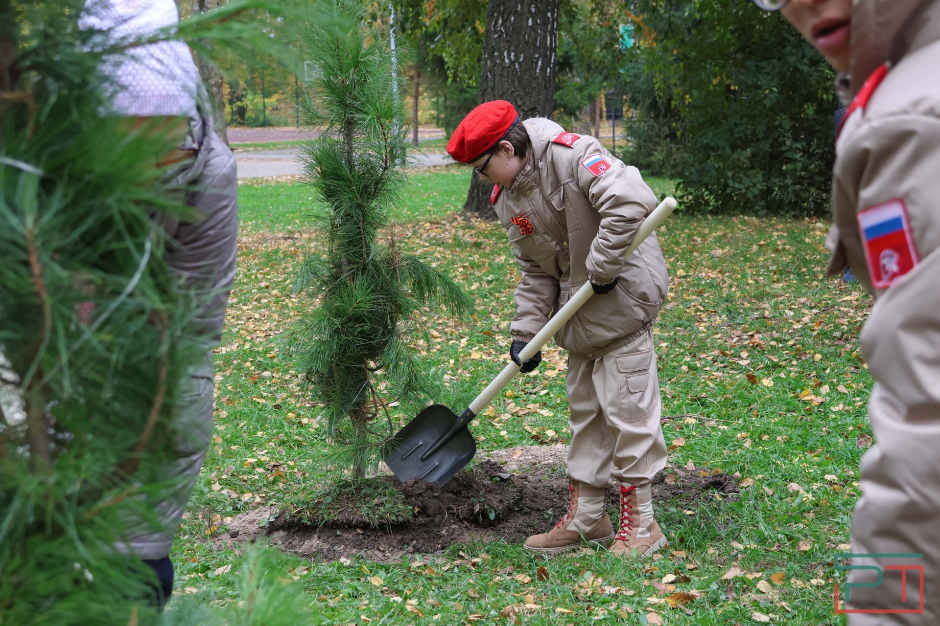 В казанском парке высадили аллею сибирских кедров