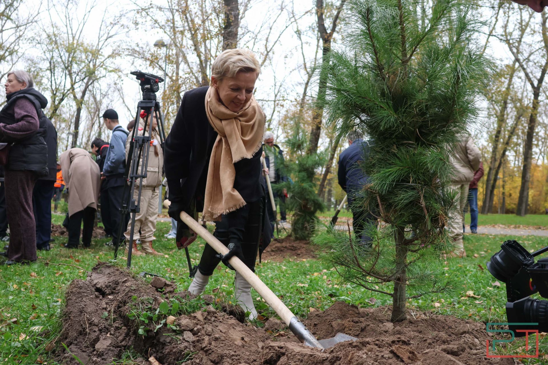 В казанском парке высадили аллею сибирских кедров