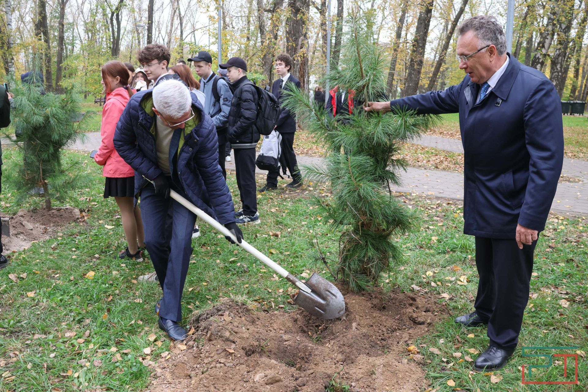 В казанском парке высадили аллею сибирских кедров