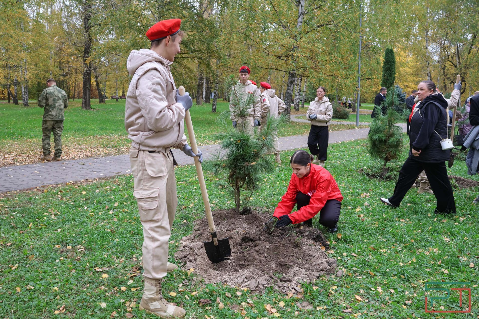 В казанском парке высадили аллею сибирских кедров