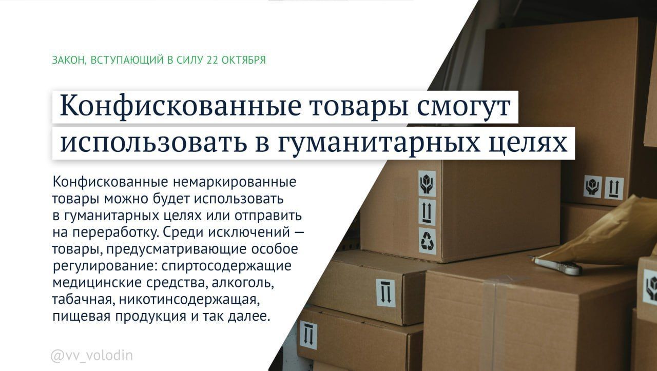 Володин назвал семь новых законов октября в России