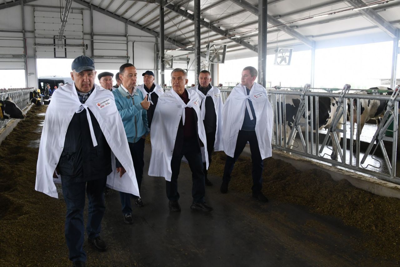 Минниханов: у аграриев Мензелинского района дела идут хорошо