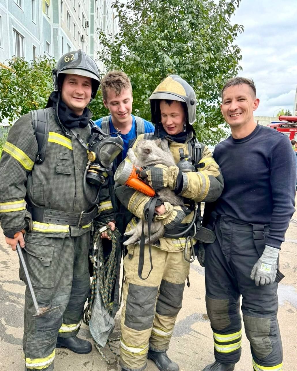 Нижнекамские пожарные спасли кота из загоревшейся квартиры — фото