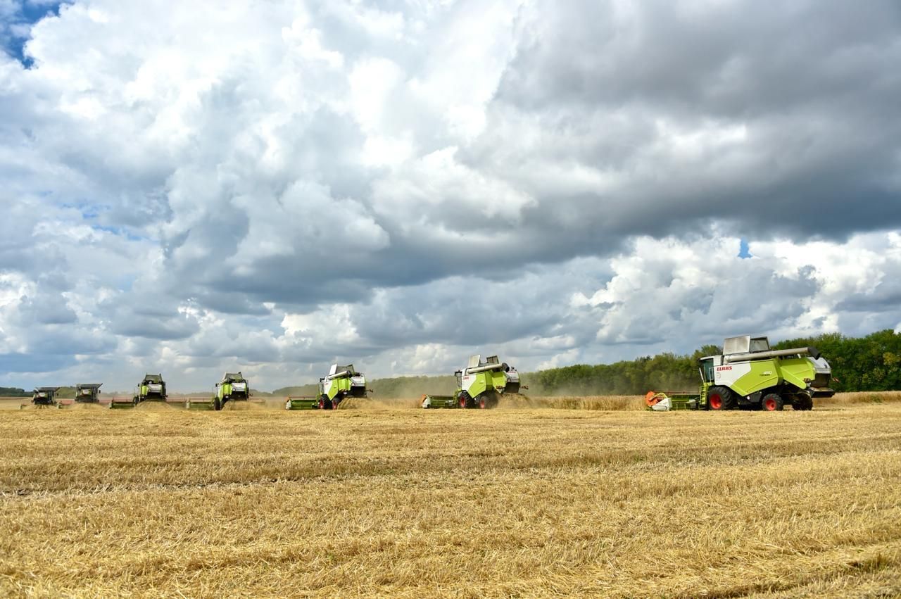 Урожай отбивают у дождей: в Татарстане завершается экстремальная уборочная