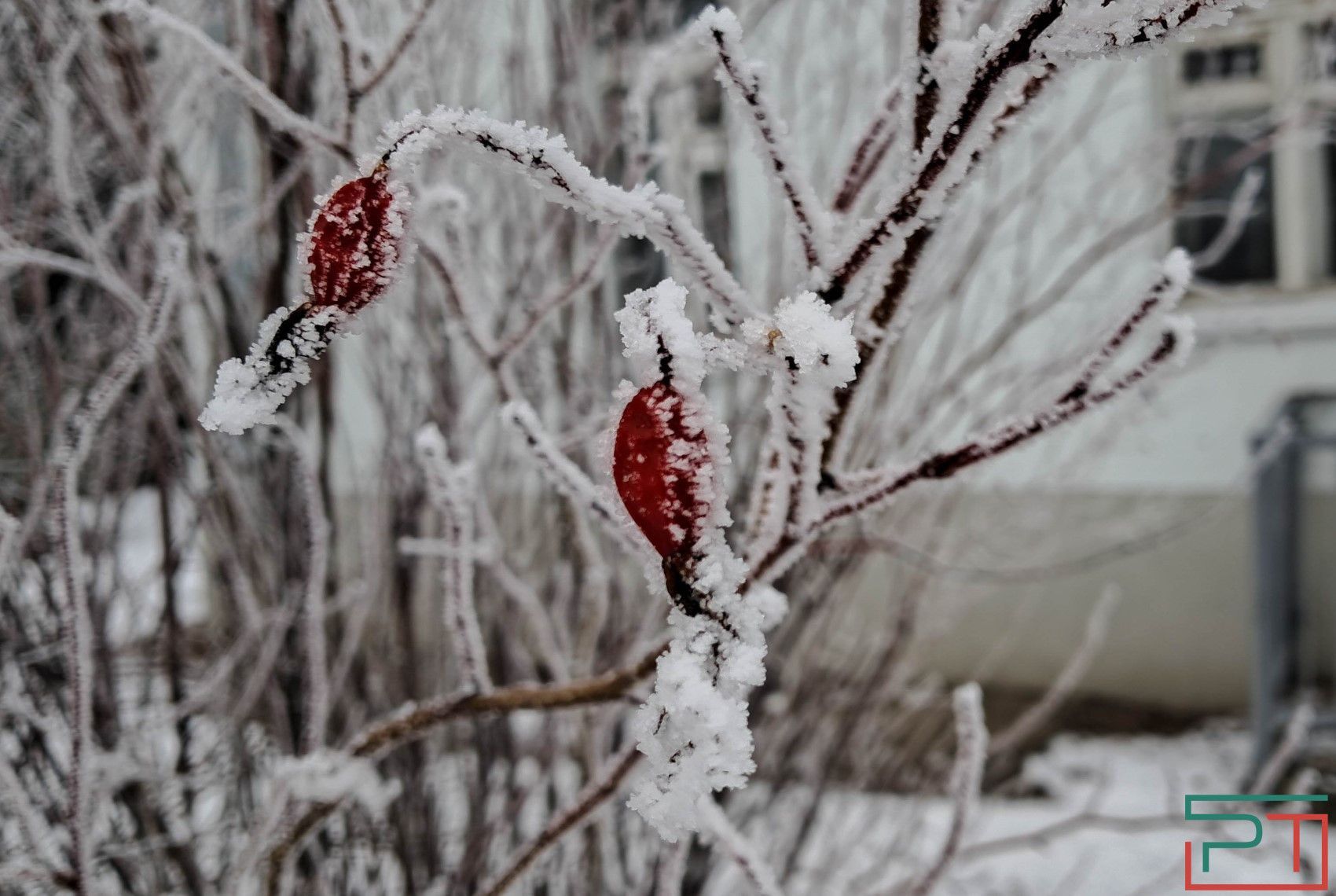 В Татарстане похолодает до минус 17 градусов