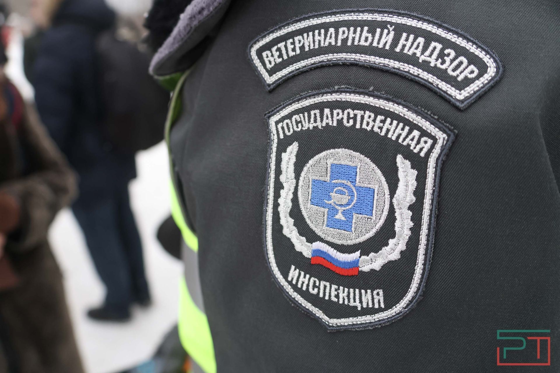 В Казани прошел рейд по выявлению нечипированных собак