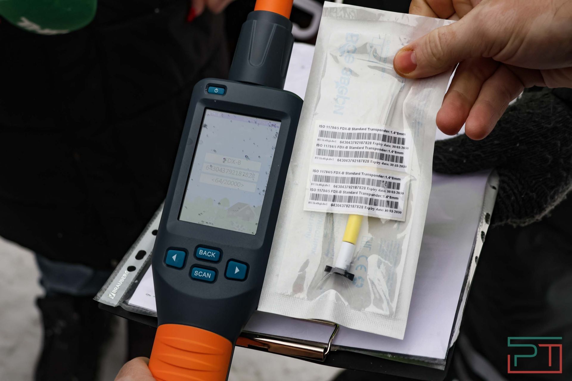 В Казани прошел рейд по выявлению нечипированных собак