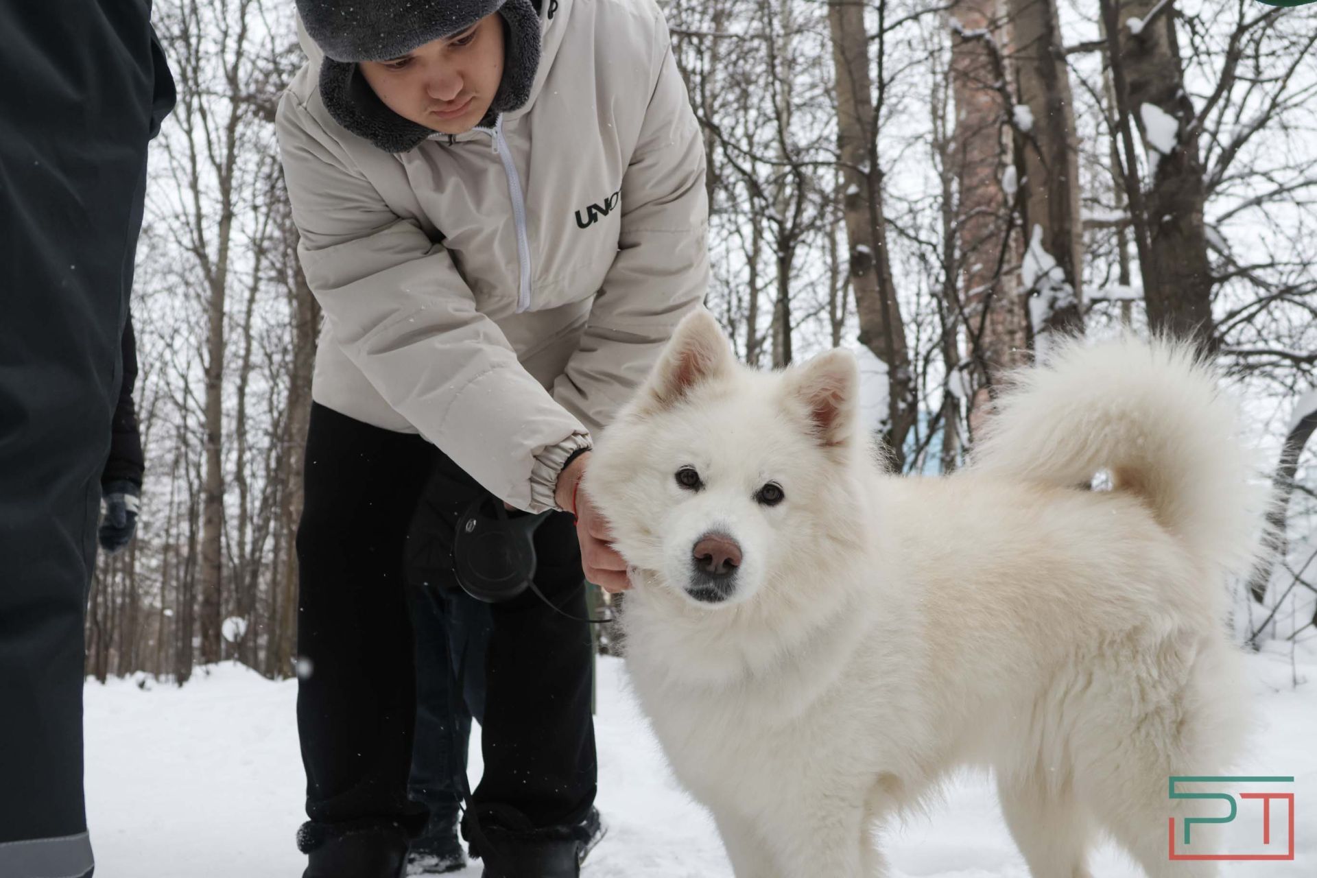 В Казани прошел рейд по выявлению нечипированных собак