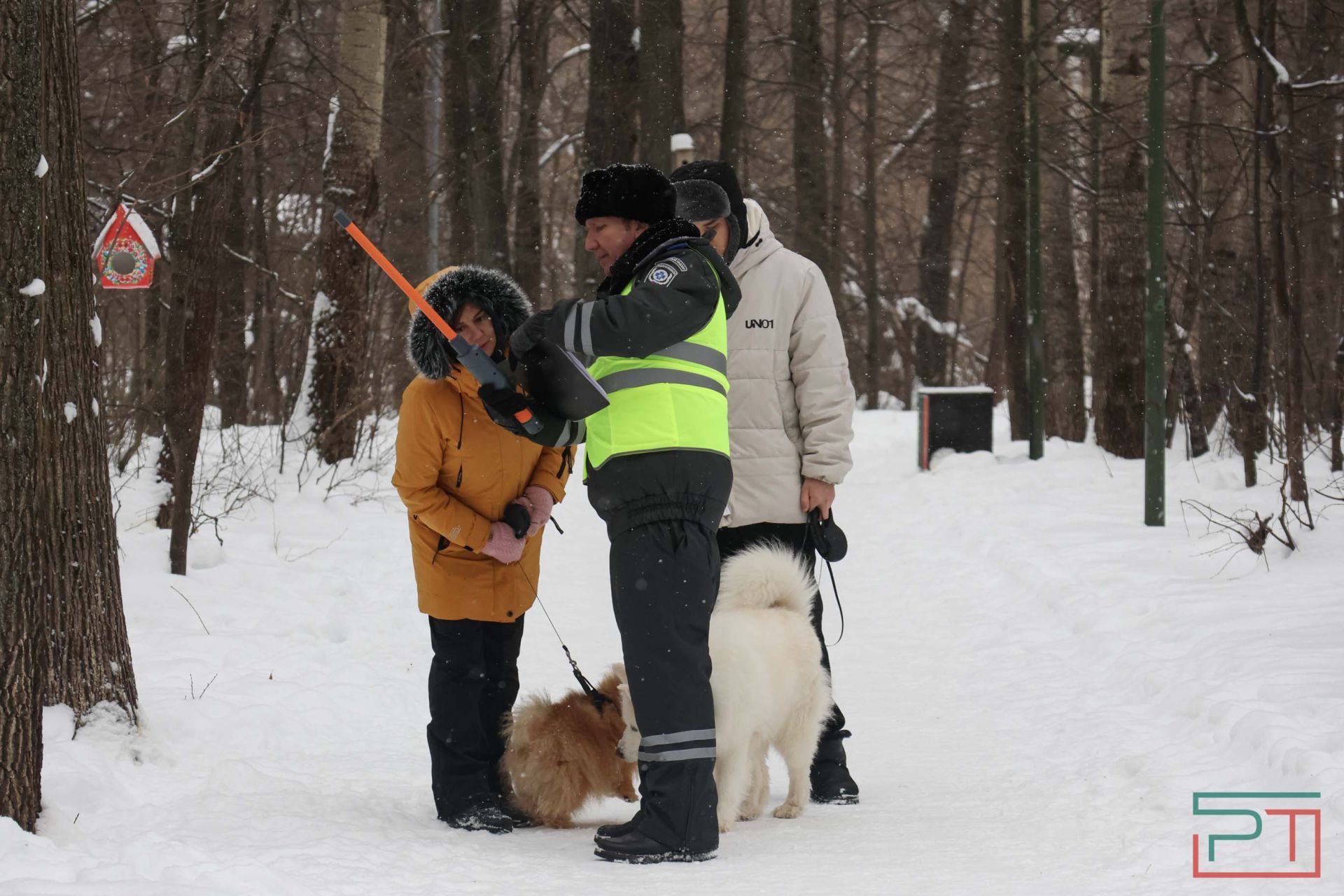 В Казани прошел рейд по выявлению нечипированных собак
