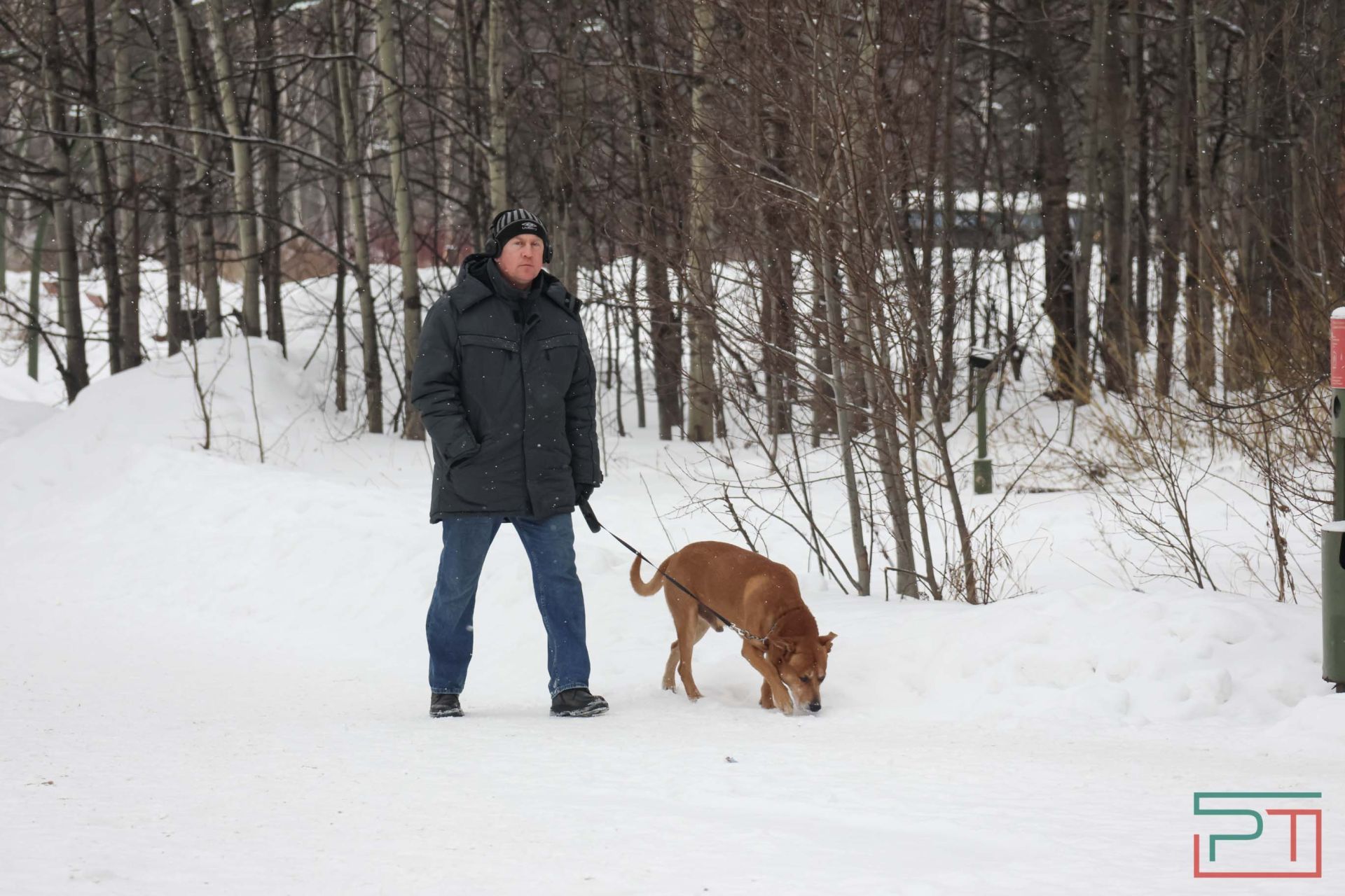 В Казани прошел рейд по выявлению нечипированных собак