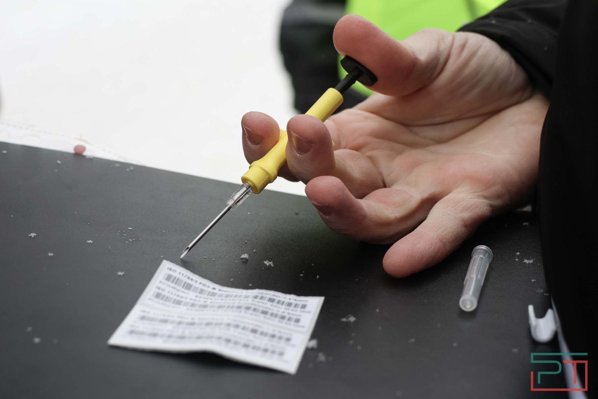 В Казани прошел рейд по выявлению нечипированных собак