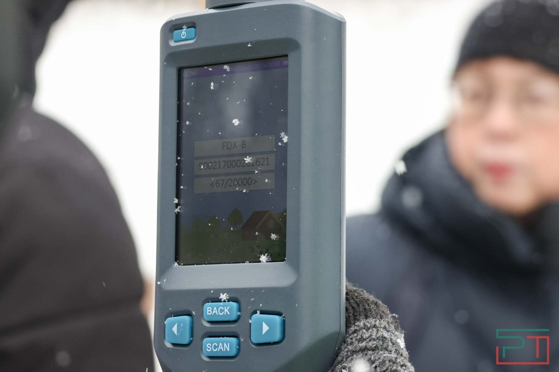 В Казани прошел рейд по выявлению нечипированных собак