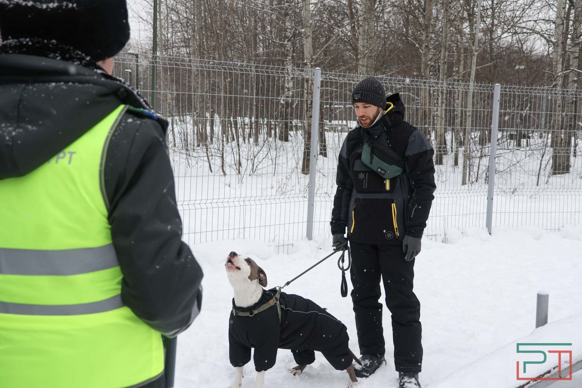В Казани прошел рейд по выявлению нечипированных собак