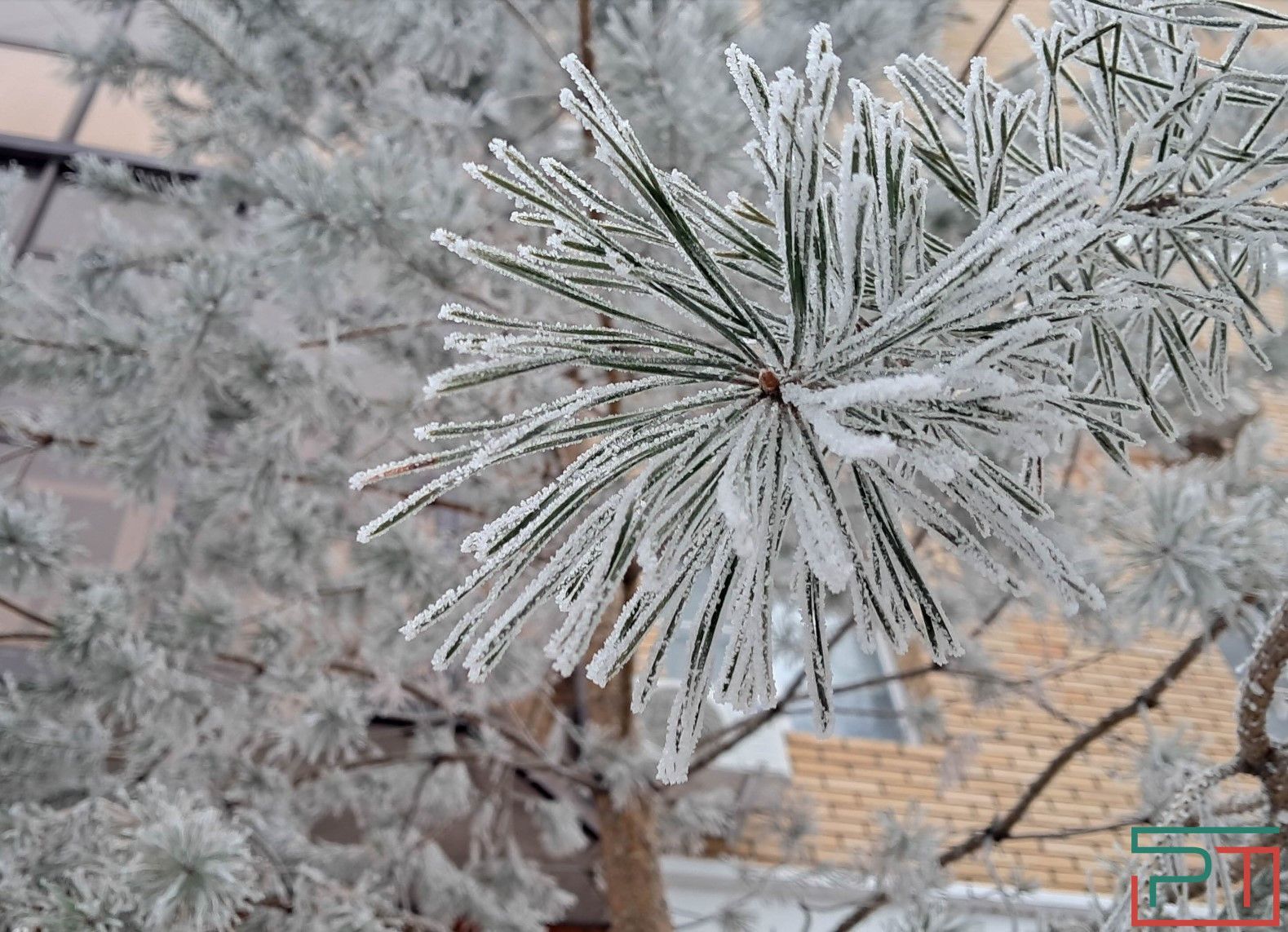 Гидрометцентр: в ближайшие дни морозы в Татарстане усилятся до минус 35 градусов