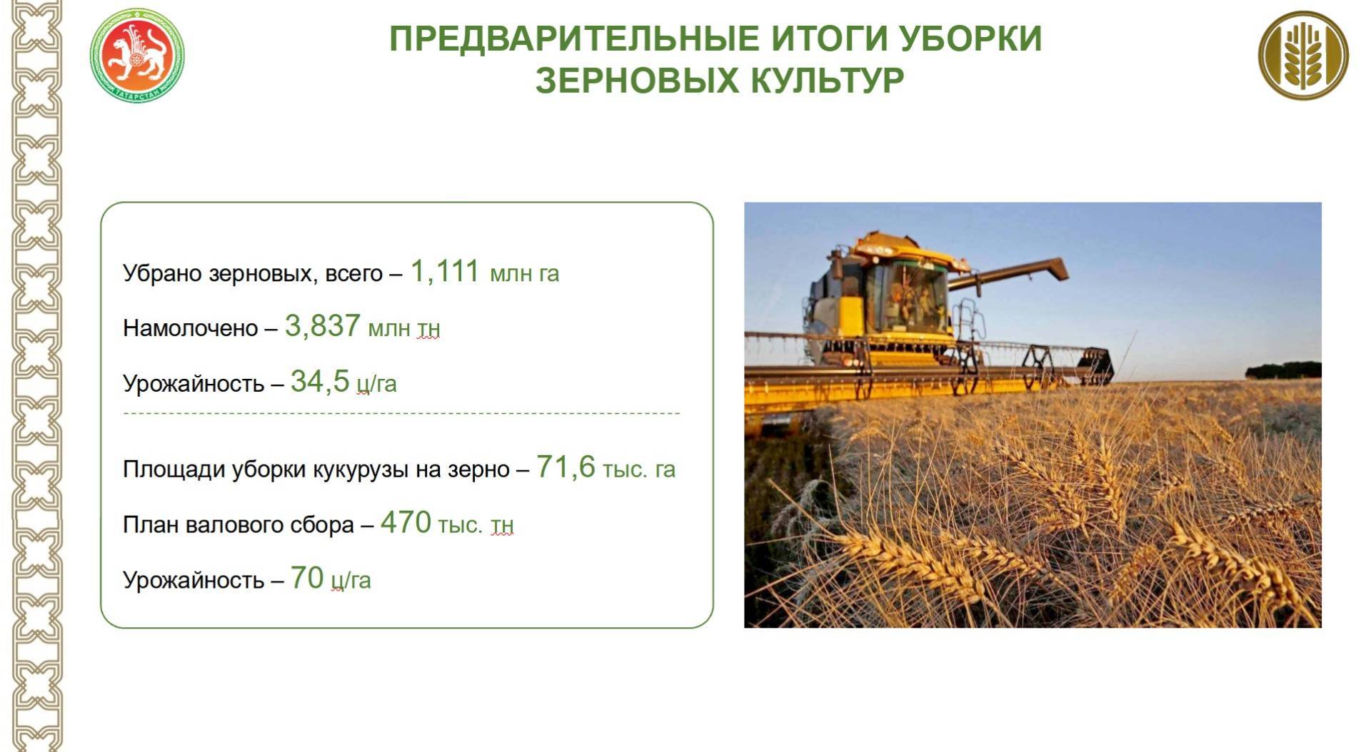 В Татарстане намолочено 3,8 млн тонн зерна