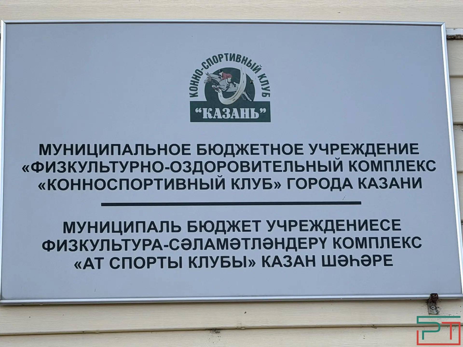«Статусное хобби, цифровой детокс»: помогут ли зумеры коневодству в Татарстане