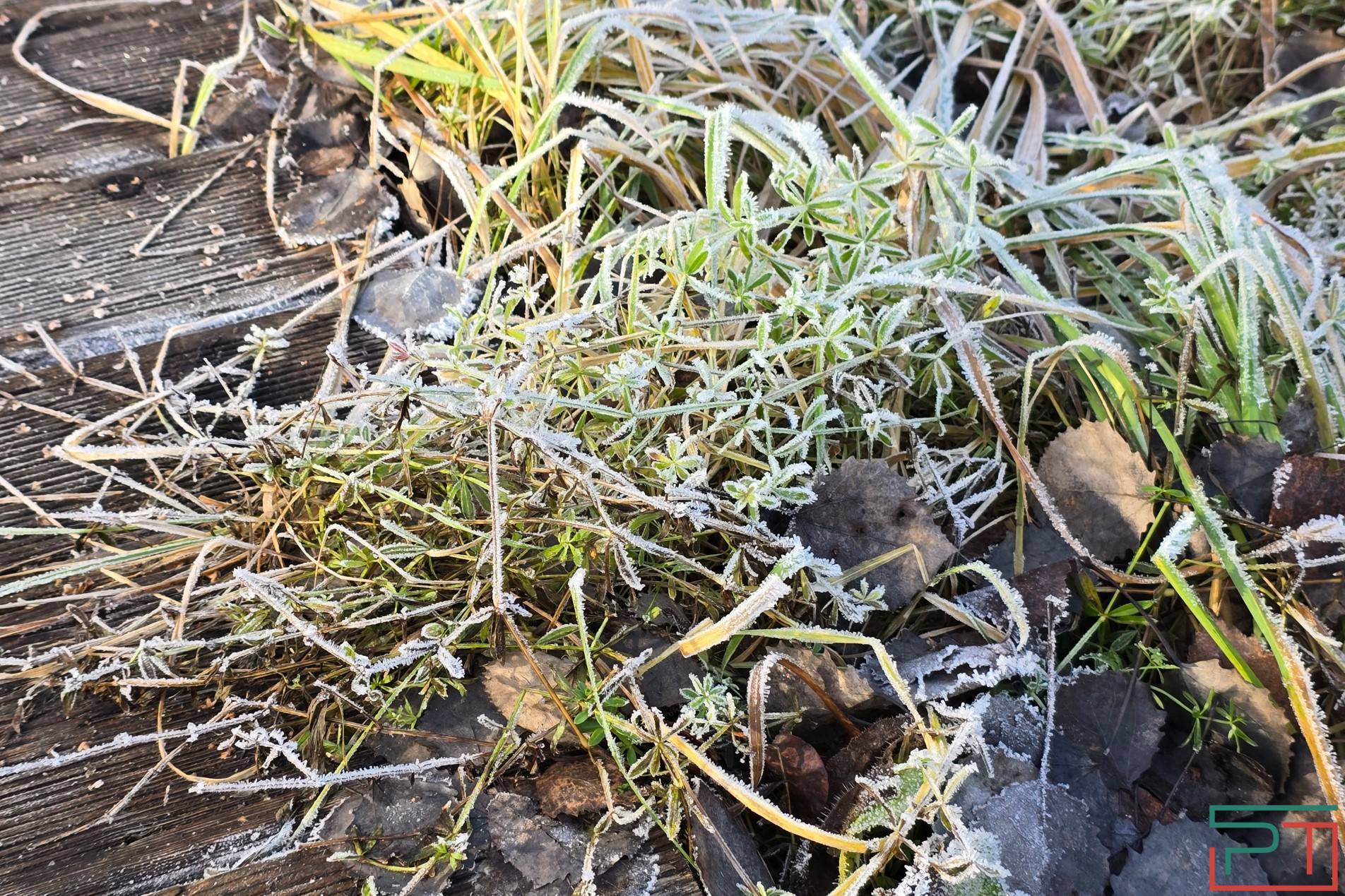 Ночью в Татарстане ожидаются заморозки до -6°