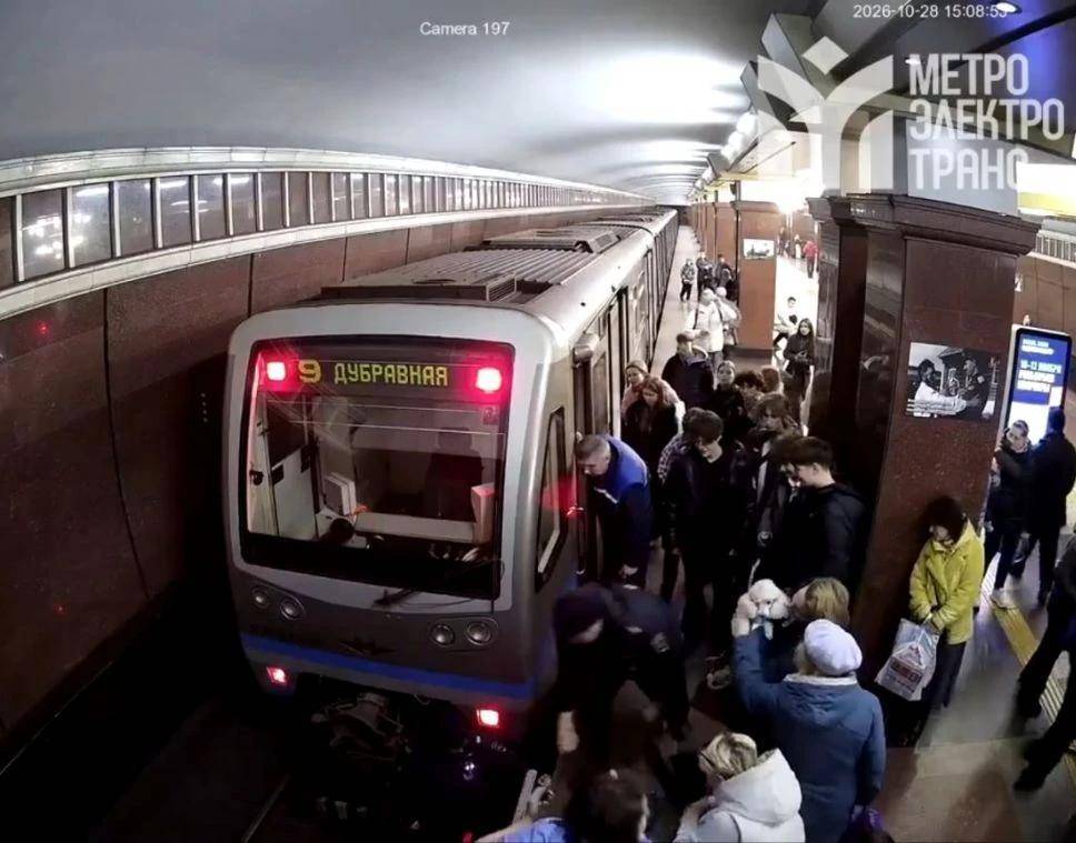 В метро Казани спасли упавшую на пути собаку