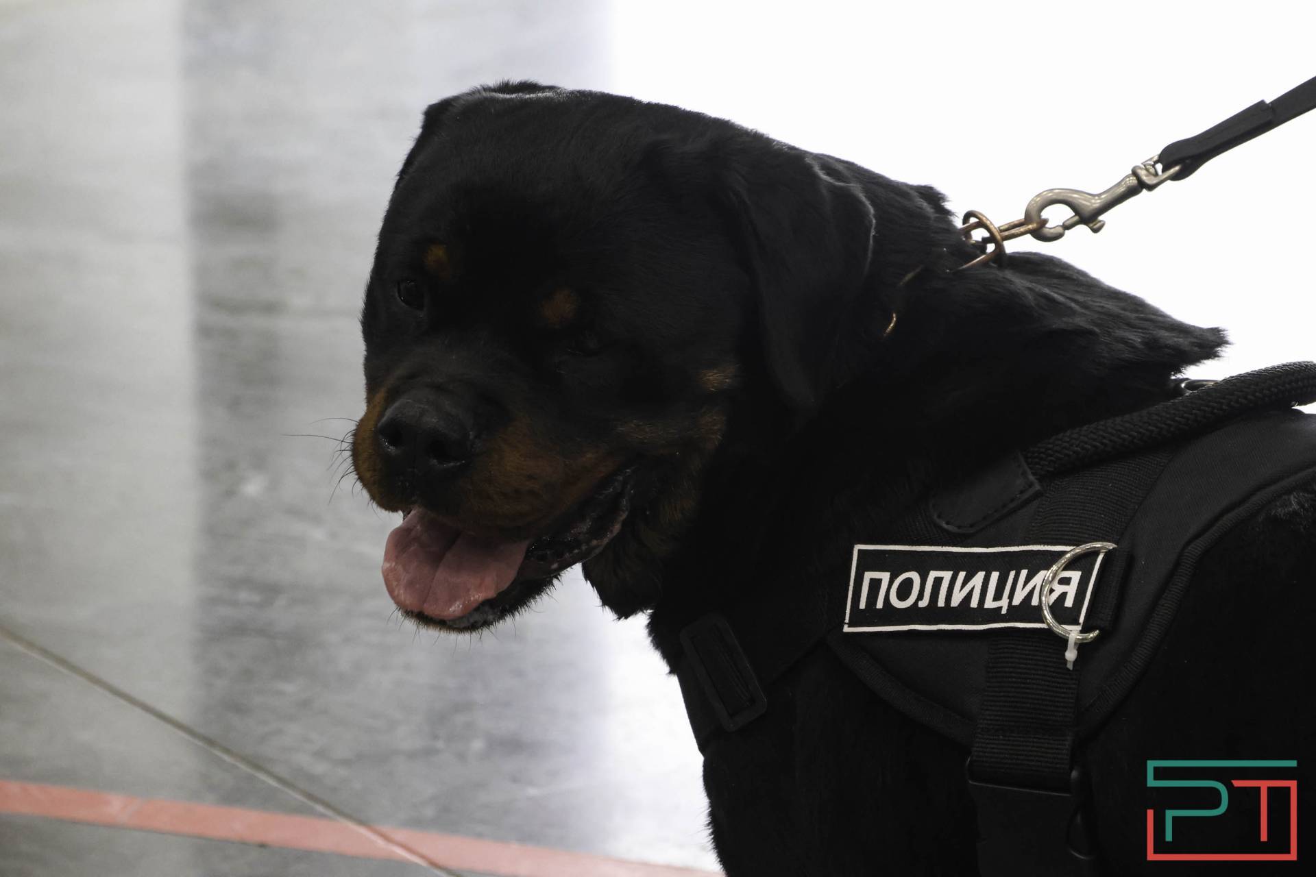 Рустам Минниханов осмотрел выставку «Казань Агро – 2026»