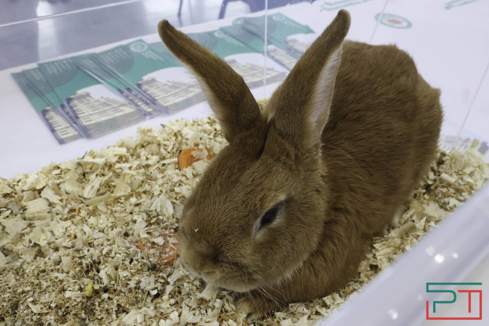 Рустам Минниханов осмотрел выставку «Казань Агро – 2026»