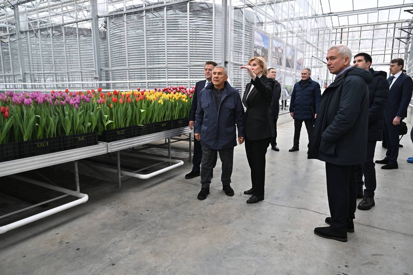 Минниханов осмотрел новые теплицы «Горводзеленхоза» на 1 млн тюльпанов – фото