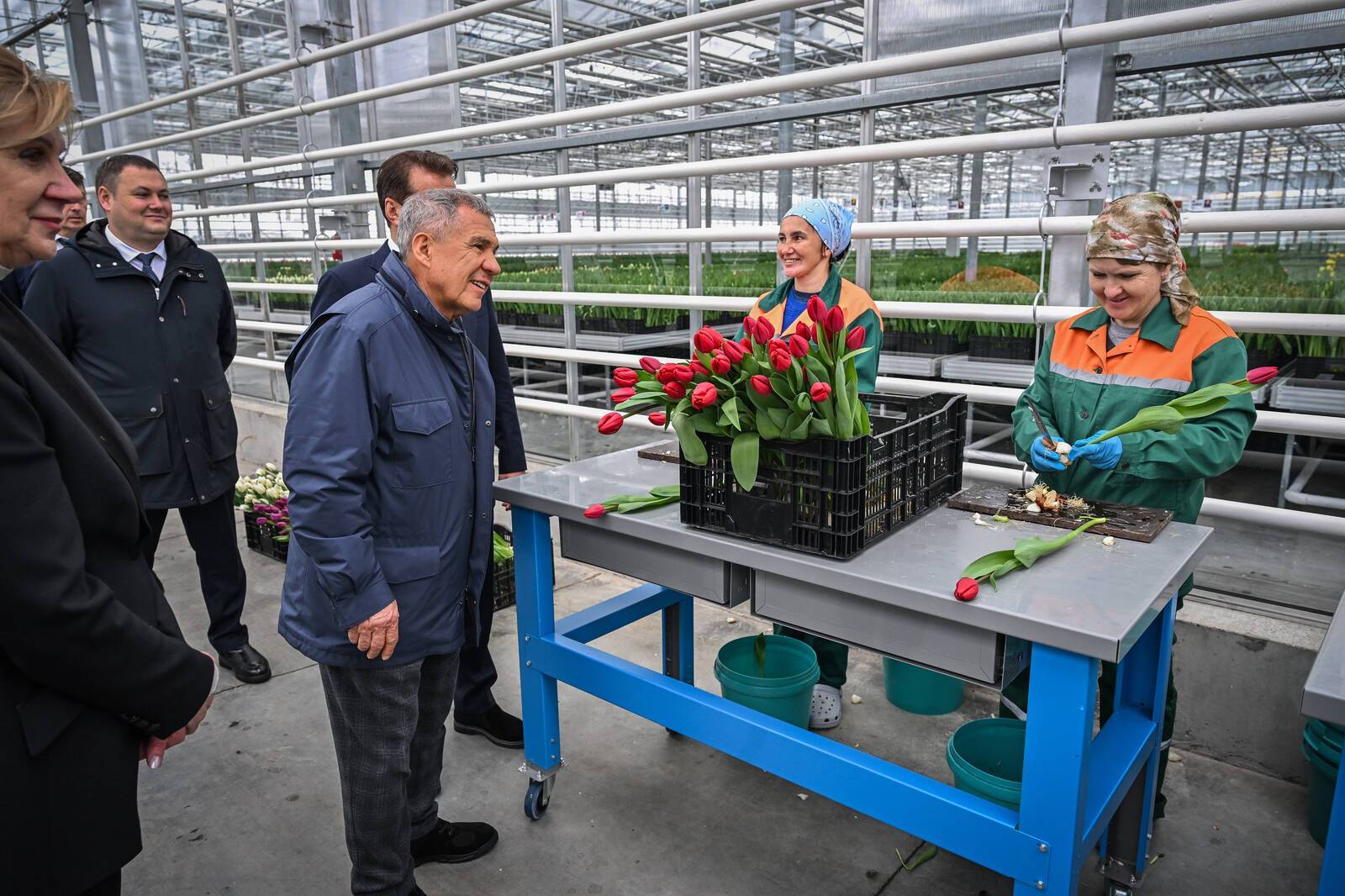 Минниханов осмотрел новые теплицы «Горводзеленхоза» на 1 млн тюльпанов – фото