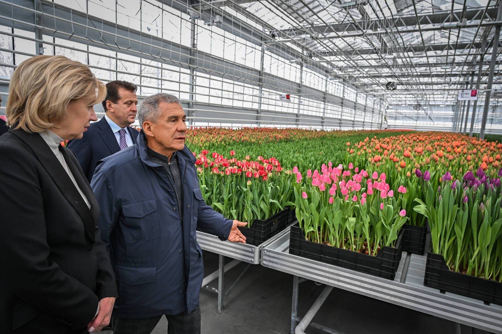 Минниханов осмотрел новые теплицы «Горводзеленхоза» на 1 млн тюльпанов – фото