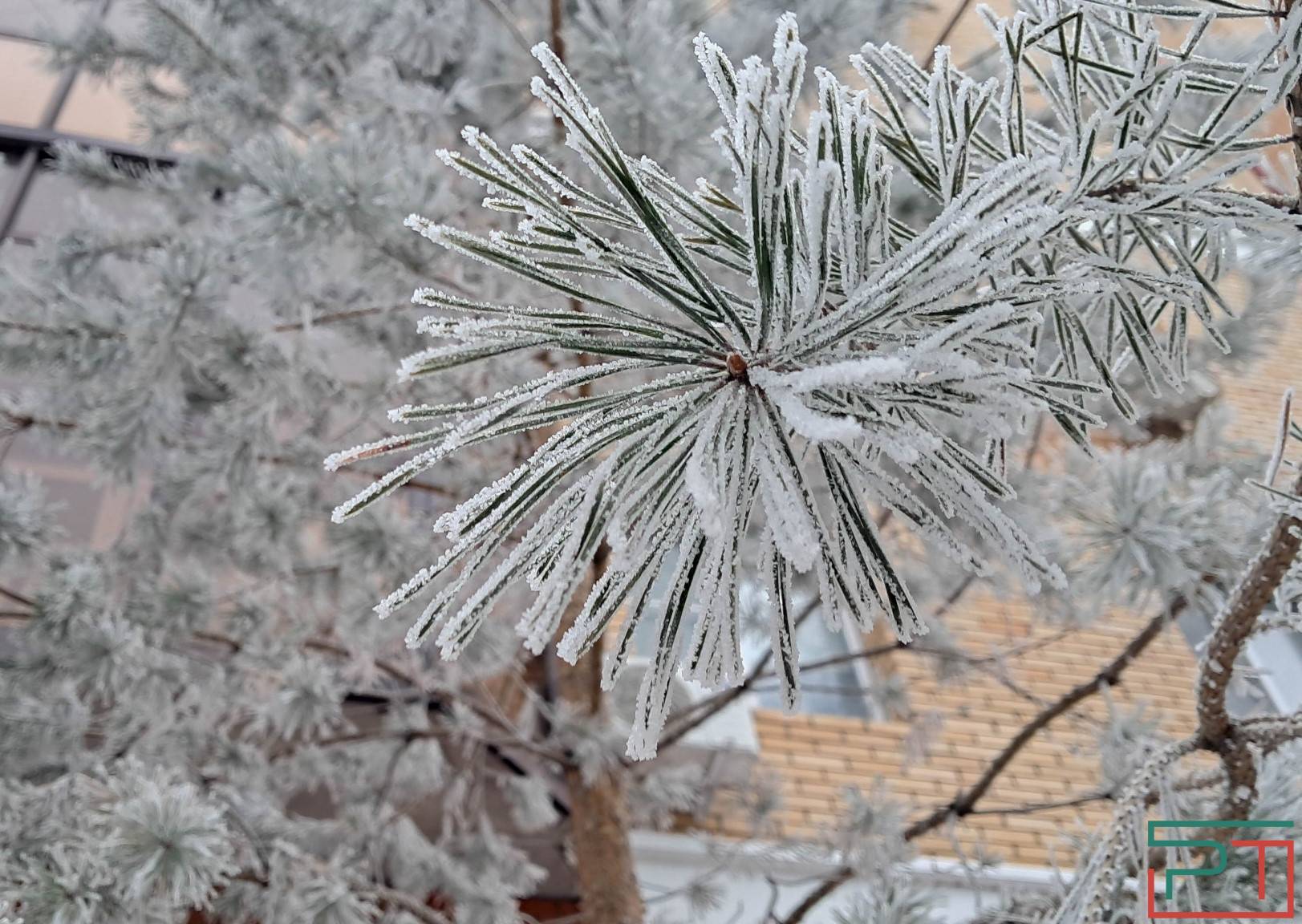 В ночь на 19 февраля в Татарстане ожидается мороз до минус 29 градусов