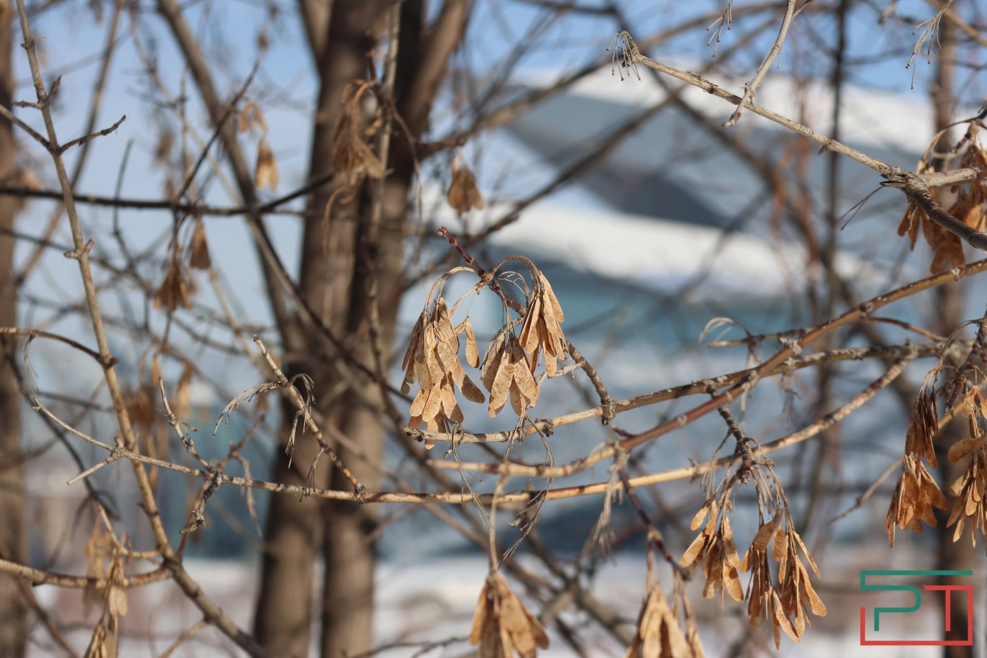 В Казани показали, как будет выглядеть новая набережная озера Кабан