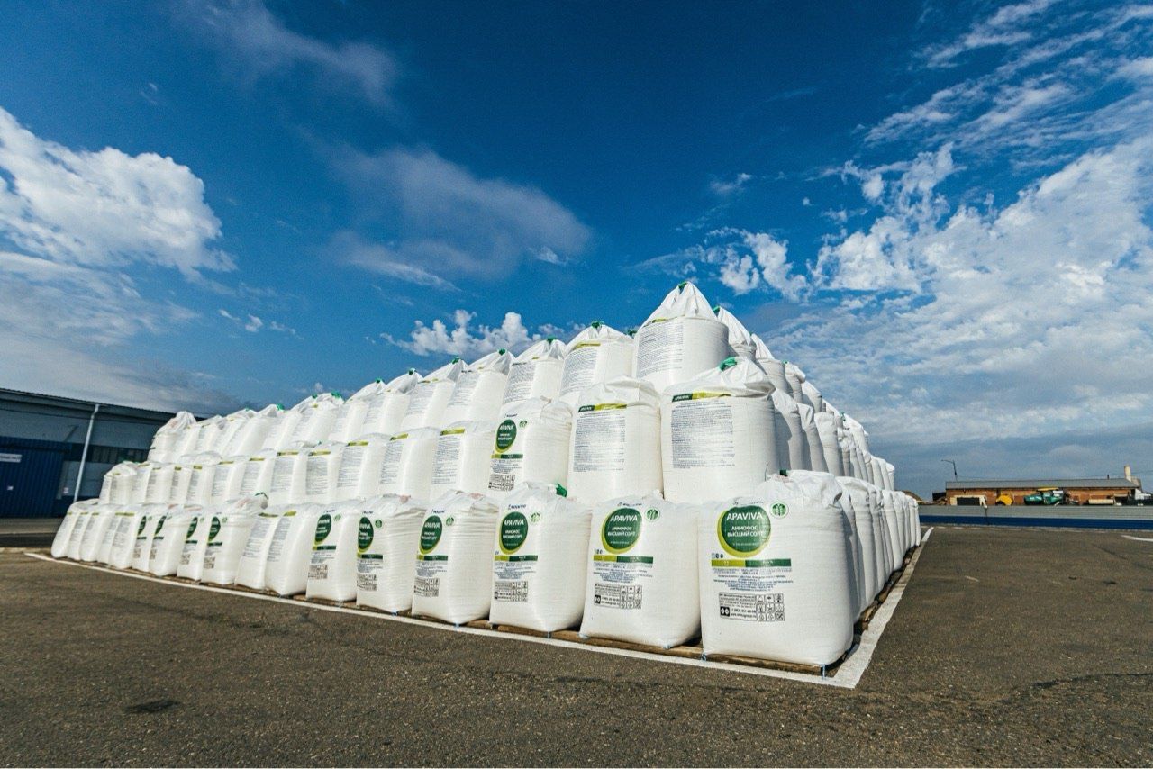 Татарстан перестраивает севооборот: ставки на масличные культуры и точное питание