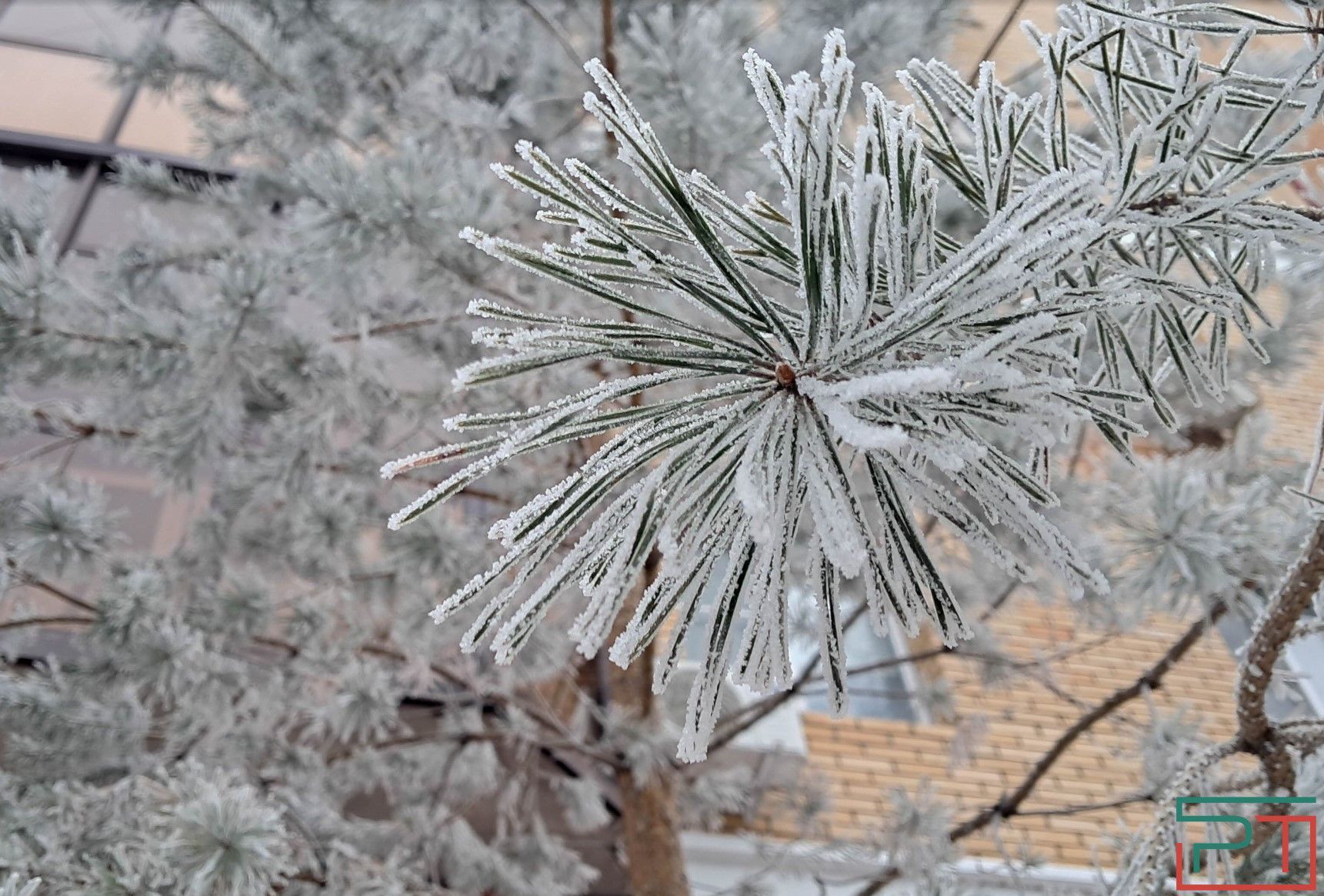 В ночь на 3 февраля в Татарстане ожидаются морозы до минус 30 градусов