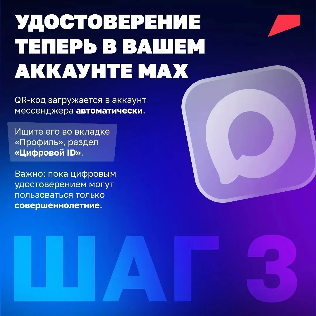 Татарстанцы могут сделать цифровое удостоверение многодетной семьи в MAX