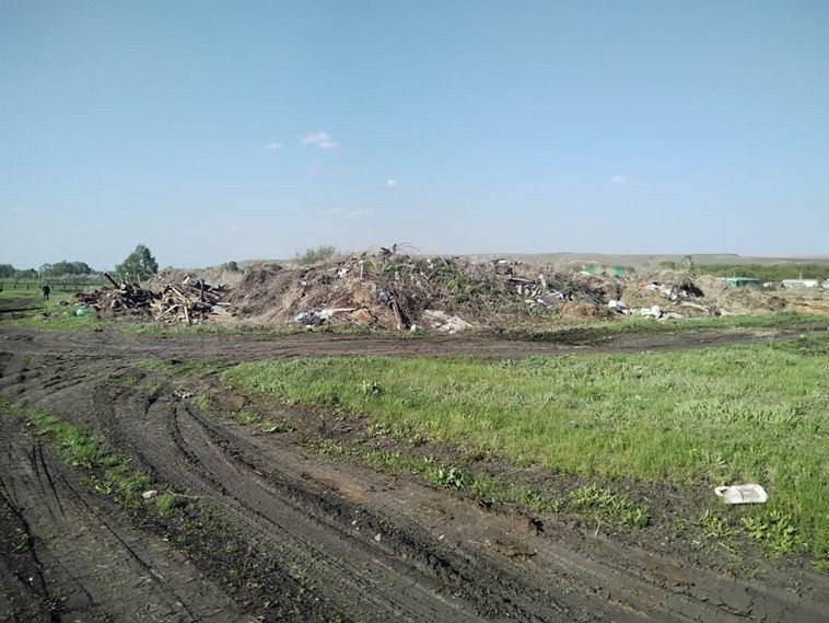 Крупную свалку в Апастовском районе ликвидируют за «зеленые» деньги