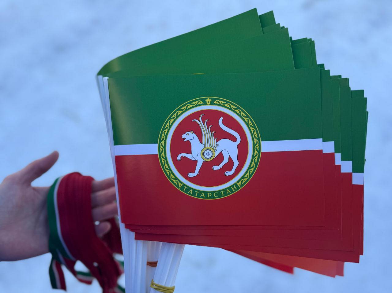 Молодогвардейцы раздали в Казани 5 тысяч флажков с гербом Татарстана